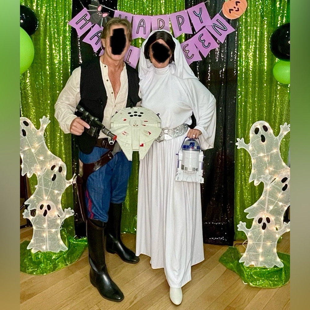 Princess Leia Costume